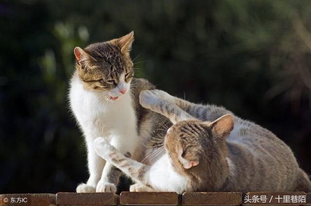 《人性的弱点》详细总结(句句值得领悟)