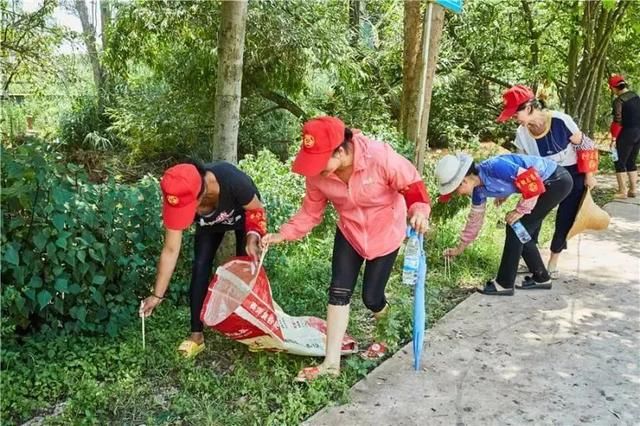 巾帼风采 行动|晋宁开展关爱滇池巾帼志愿活动