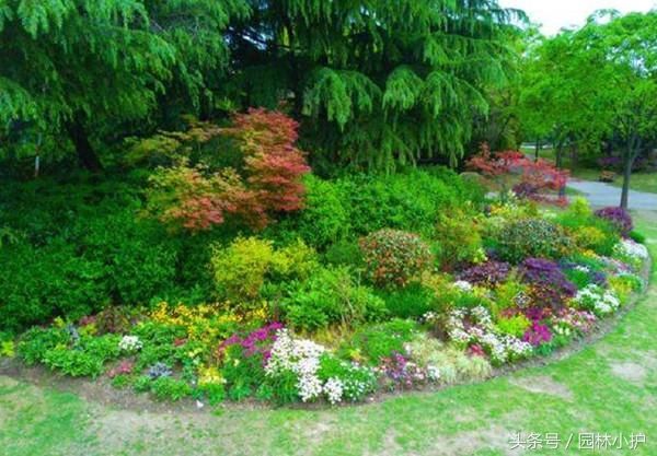 庭院花鏡植物如何種植?按層次感來!