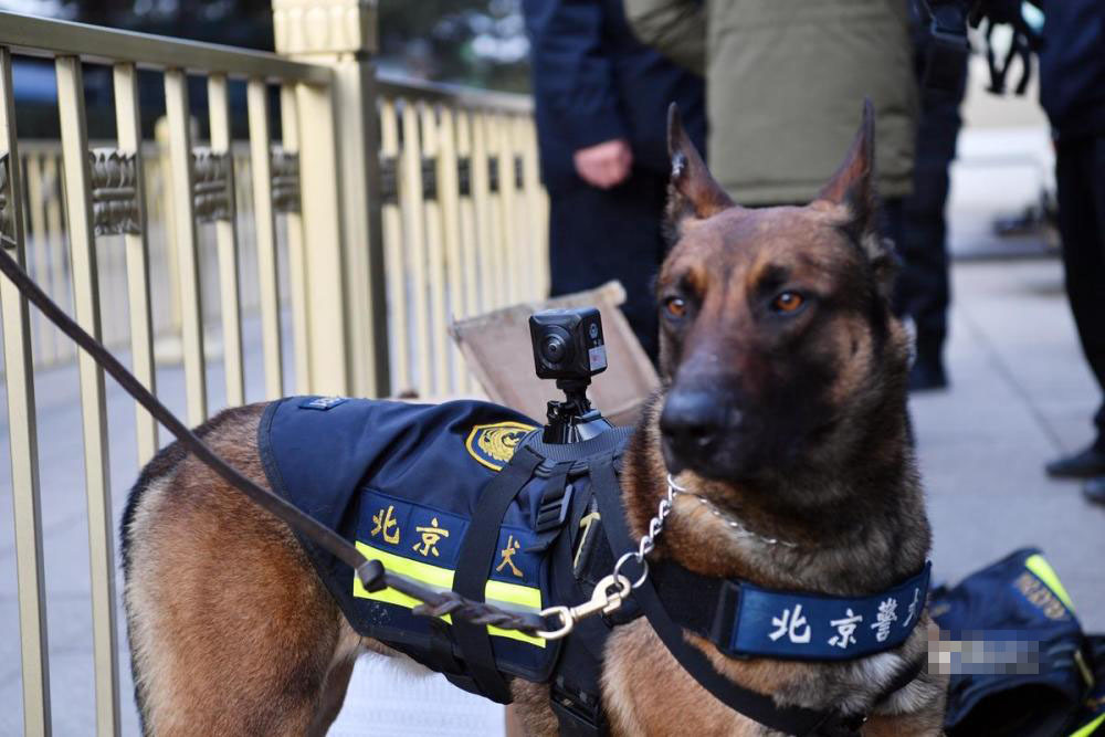 北京警犬首次佩戴全景VR执法记录仪执勤