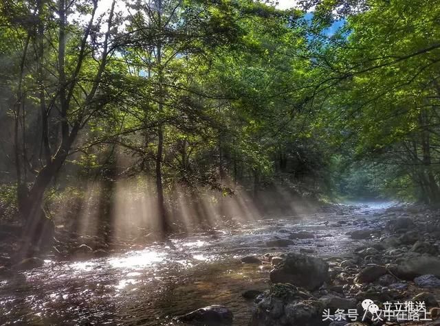 致汉中骆家坝古镇的一封情书!