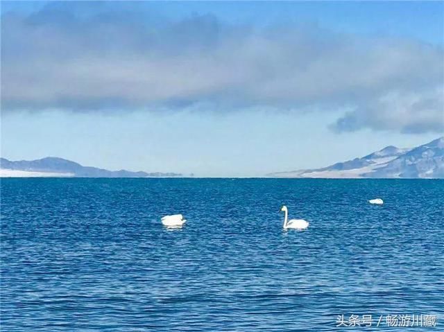这个夏天抖音上最火的地方就在新疆无疑~