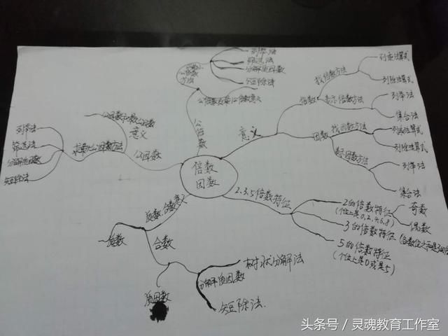 基于思维导图的小学数学复习课的研究