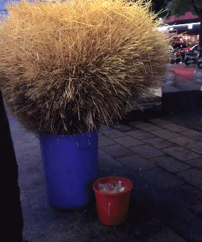 284_340gif 动态图 动图