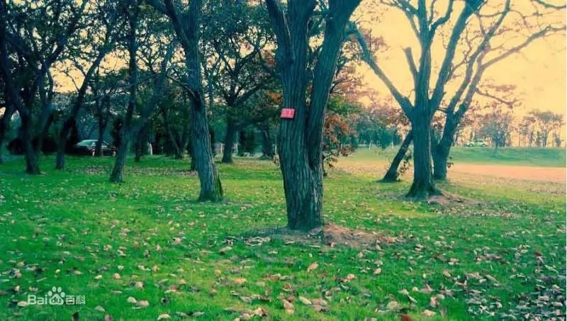 江苏13大市海拔最高的地方在哪 泰州排第几名