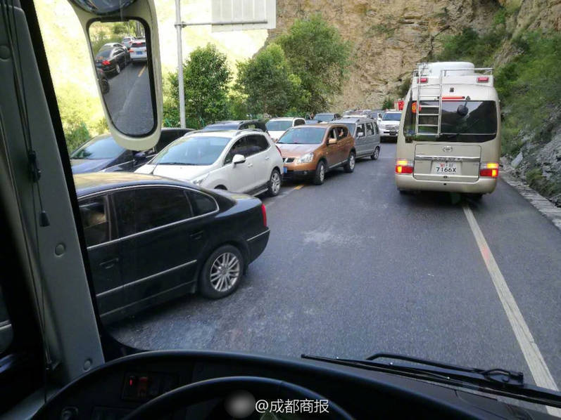 地震现场司机插队大量游客涌出 救援车辆堵路上(图4)