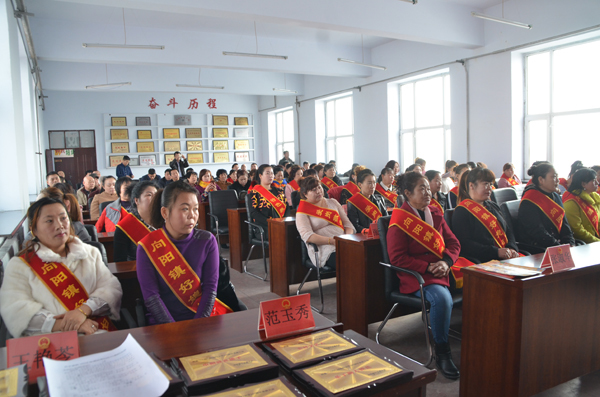 向阳镇纪念"三八"国际劳动妇女节表彰大会