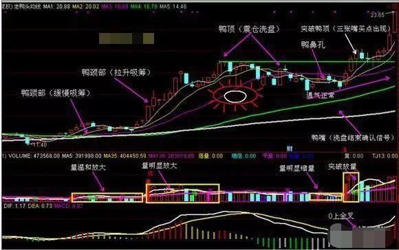 (1)三张嘴买点:k线中大阳突破鸭顶,并且配合明显放量,并且macd0轴以上