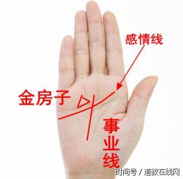 女生手相事业线穿过感情线笔直向上,一生吃穿不愁,幸福美满 女生手相事业线穿过感情线笔直向上,一生吃穿不愁,幸福美满