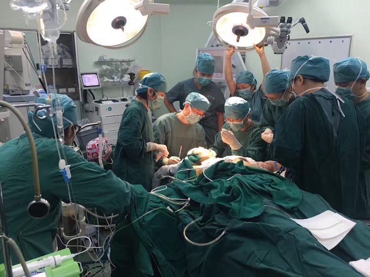 德国獒发疯啃掉女主人整张头皮 德国獒发疯啃掉女主人整张头皮