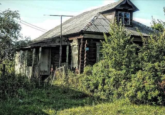 人如果一辈子不结婚不生孩子,到老了,会有怎样