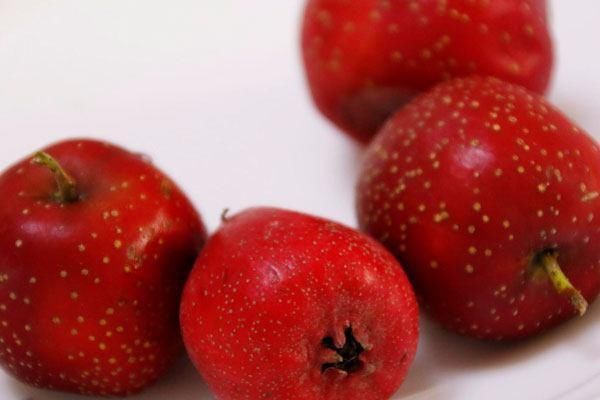 吃什么容易流产 怀孕期间要忌讳的食物