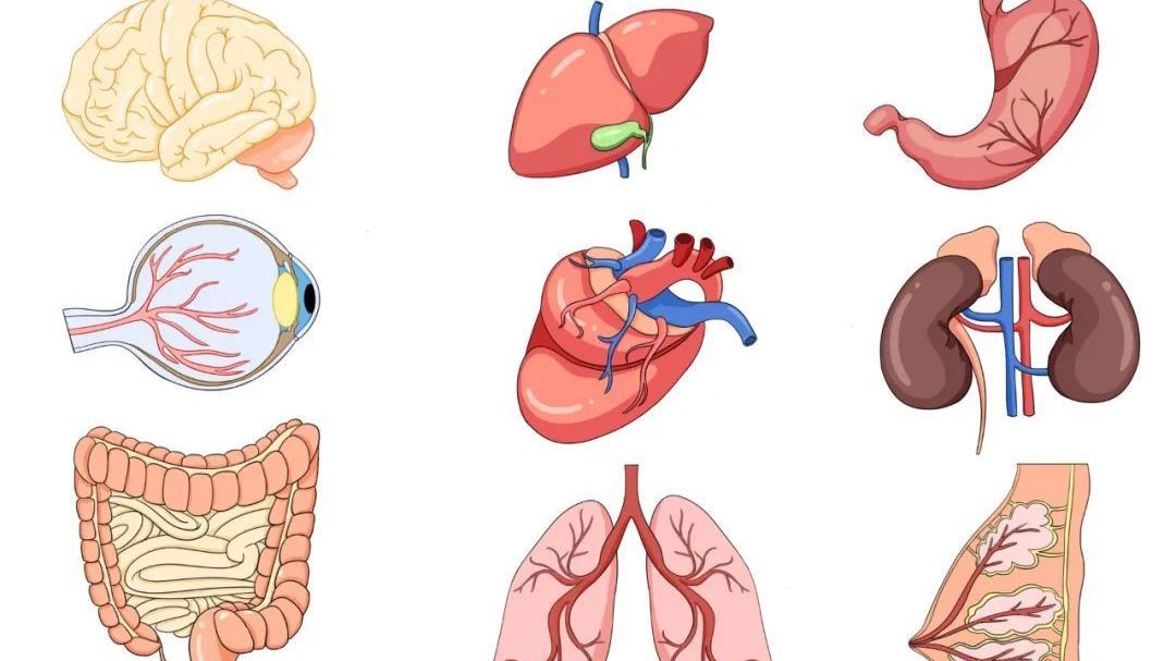 观舌、看眼就能识别疾病!收藏本文,提早规避风险隐患! 观舌、看眼就能识别疾病!收藏本文,提早规避风险隐患!