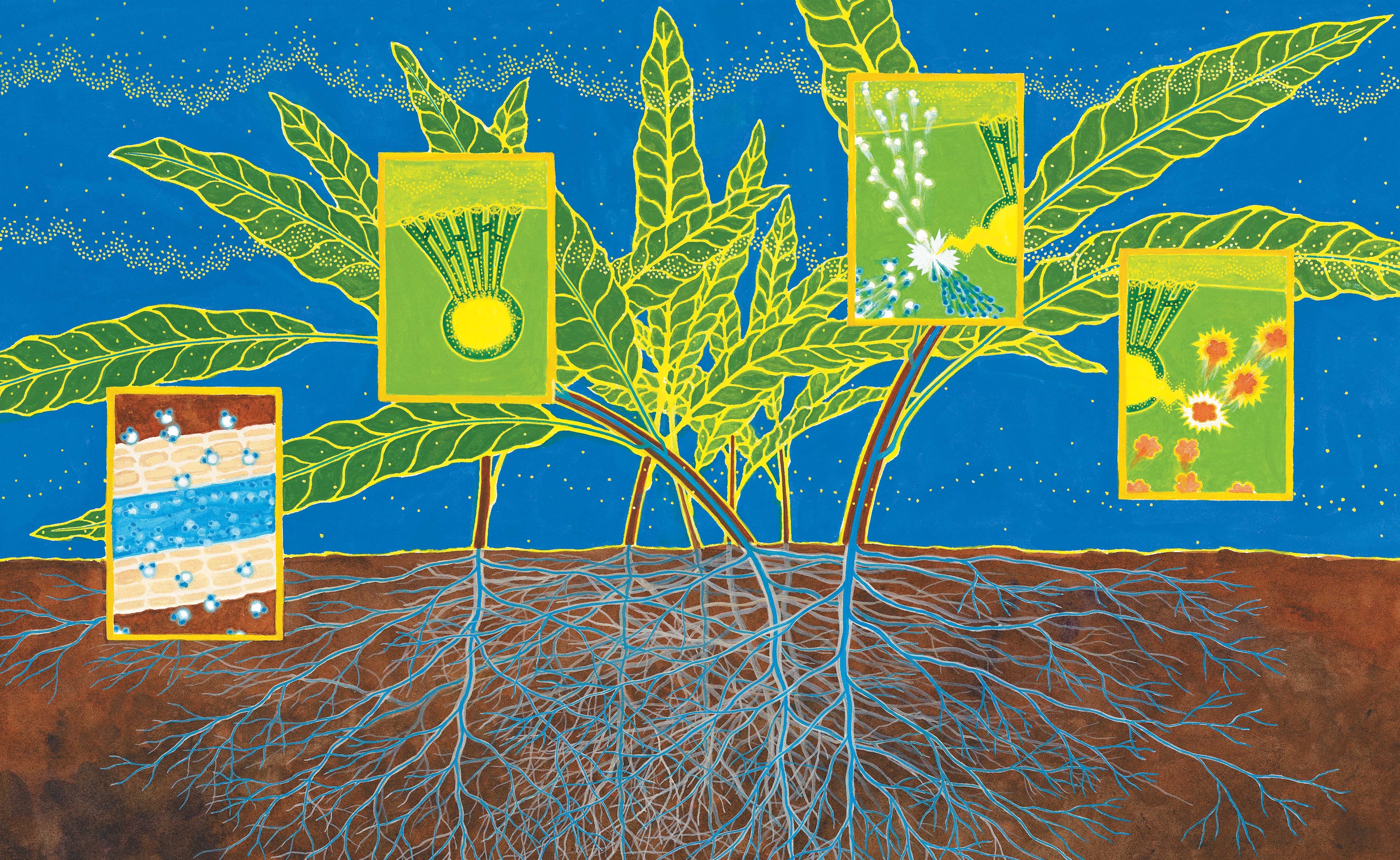 光合作用这么学,就对了!