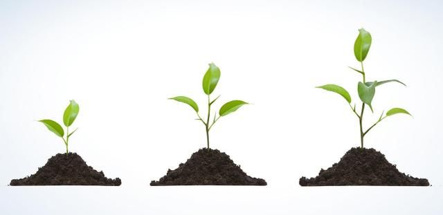 想知道宝宝说话是不是有点晚了,对照一下吧