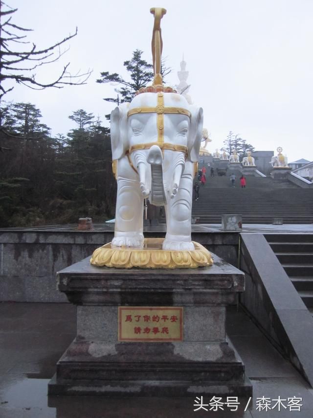 天府之国 从雷洞坪步行上山到金顶 下雨天黑风