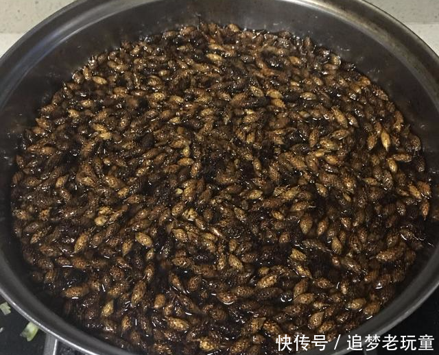 苍耳子油治鼻炎?这4个偏方也不容错过,不花钱