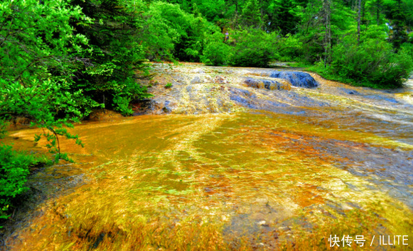 为什么贵州人的标签就是穷牙齿黄呢?
