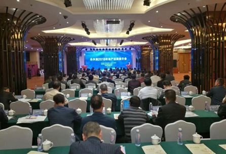 湖南省永兴县成功举办2018年地产招商推介会