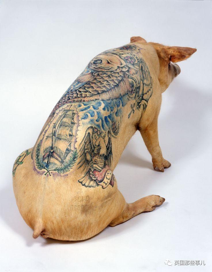 他用自己整块人皮做交易,换来大师一身纹身.