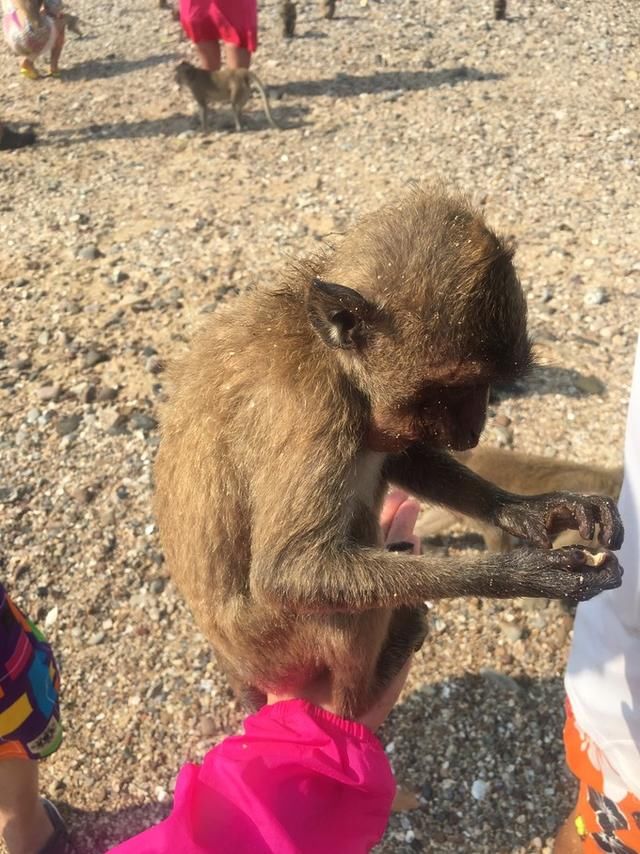 十月份适合去泰国吗天气怎样 曼谷芭提雅六日