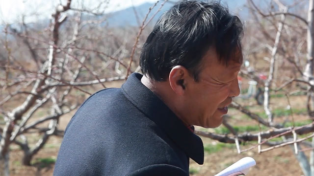 《中国梦—365个故事》和为贵 《中国梦—365个故事》和为贵