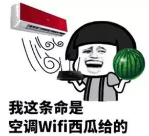 手上长小水泡 后背长痘 夏天的常见病!终于搞清