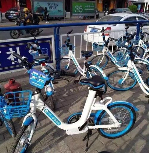 哈罗电单车登陆港城烟台 真空管理受市民质疑