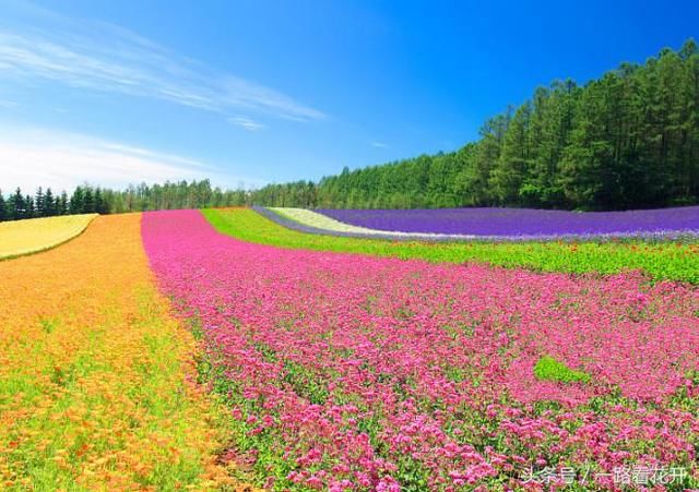 父母去世,分遗产时,嫂子只给我一处荒田,10年后