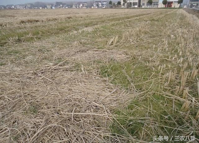 2018年两部农村土地新法将出台!这些土地被收