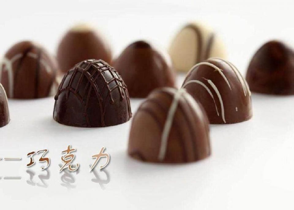 狗为什么不能吃巧克力 巧克力中的可可碱会使狗狗中毒.