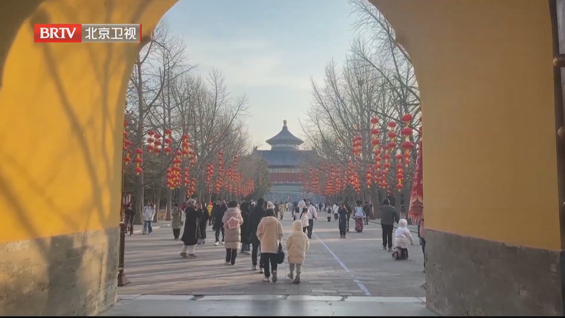 龙年心语丨我家过年的C位