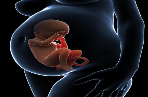 无创DNA胎儿亲子鉴定:解决意外怀孕的烦恼
