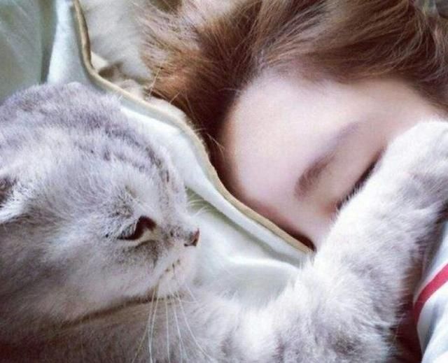 女孩每天都被猫的屁股惊醒,嘴里一口猫毛,实在是太酸爽了