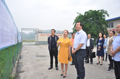 张彤调研市中区脱贫攻坚工作