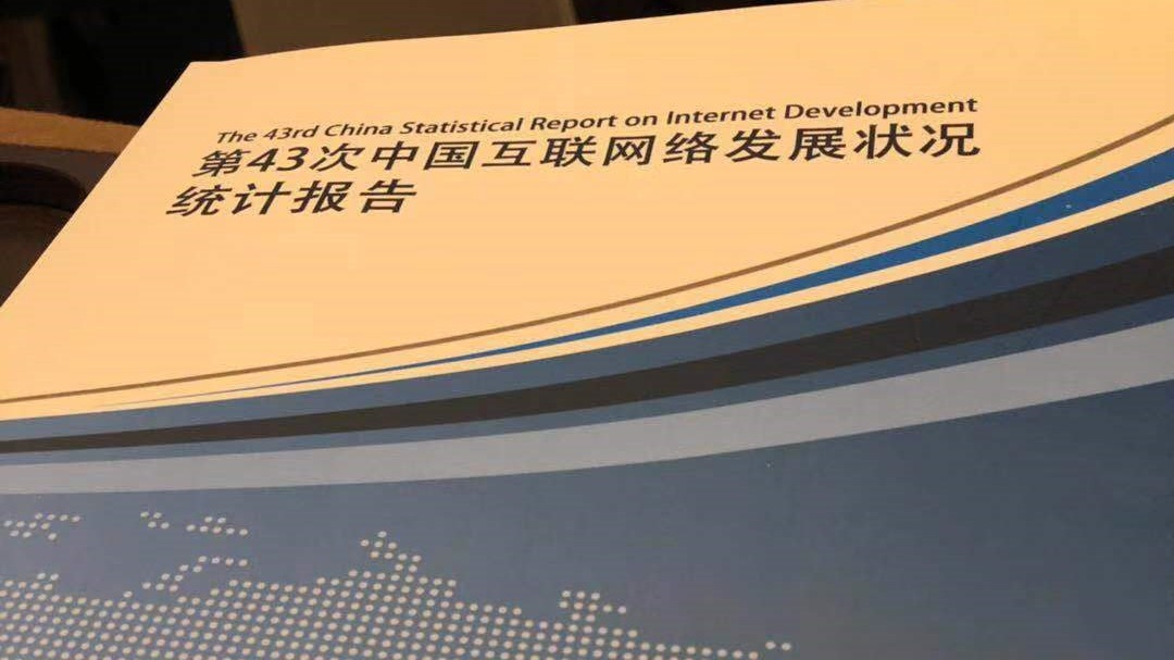 中国网民月收入2001到5000元群体占比最高