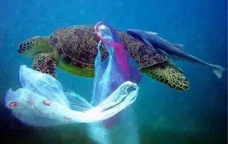 潜水员在海底10000米处发现令人紧张的东西,