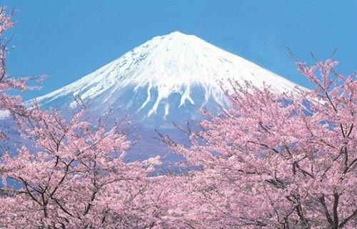 出国签证不好办?外国人办中国的签证到底有多