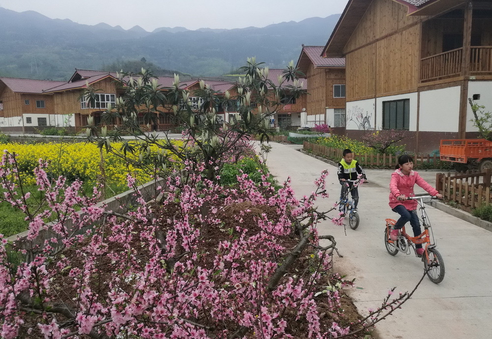 这是芦山县龙门古镇青龙场村白伙新村一角（3月27日摄）。 新华社记者 江宏景 摄

芦山地震后，四川省雅安市坚持“美丽雅安、生态强市”的发展定位，有序推进国家生态文化旅游融合发展试验区建设，打造了三条百公里百万亩特色产业经济走廊，创建龙门古镇和飞仙关镇两个“4A”景区，化“绿水青山”为“金山银山”，促进生态优势向经济效益有效转化。此外，雅安市还依托重建新村，大力发展观光农业、农事体验、乡村旅游等新业态，一批灾后重建新村走上了产村相融、农旅结合的发展新路子。截至2015年底，全市旅游综合收入达到152.33亿元，比2012年增长了91.2%。