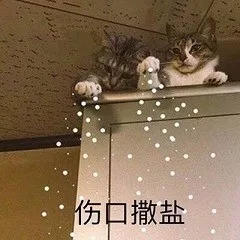 她是孙俪的亲侄女,素颜却丑成大妈?如今红过杨