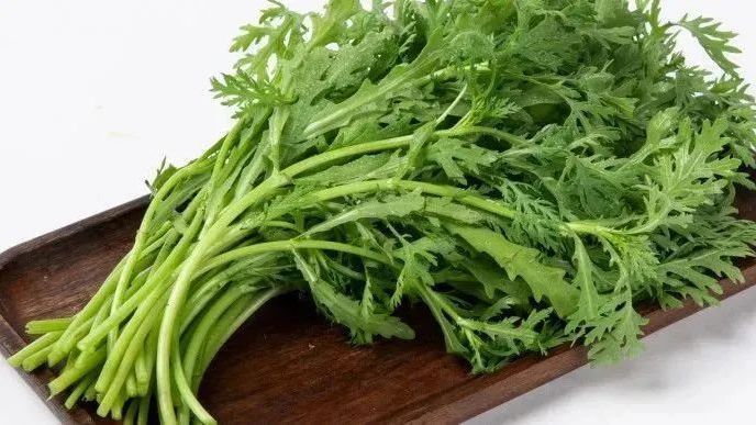 大叶茼蒿和小叶茼蒿,有何区别? 大叶茼蒿和小叶茼蒿,有何区别?