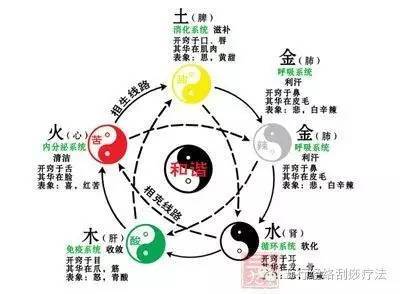 每天学一点中医之五行学说