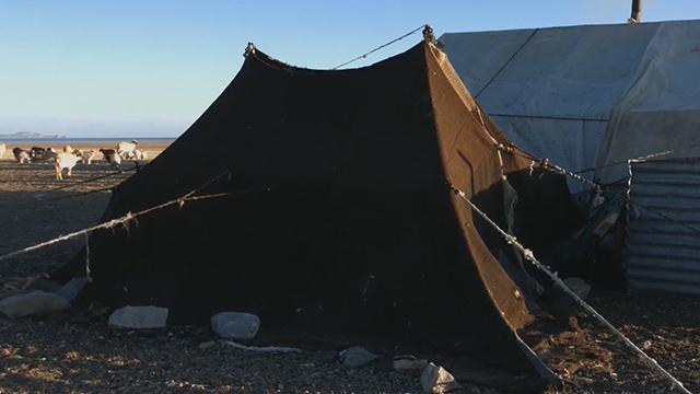 一顶帐篷成为西藏牦牛博物馆首件藏品