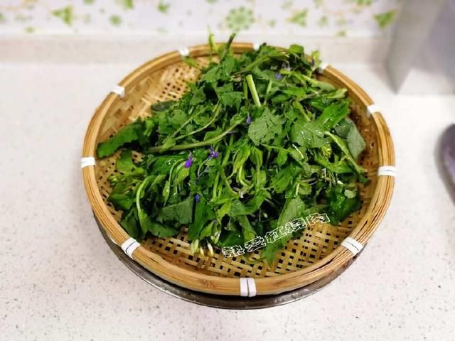 它叫诸葛菜,一到春天遍地都是它的花,不光好看还好吃!