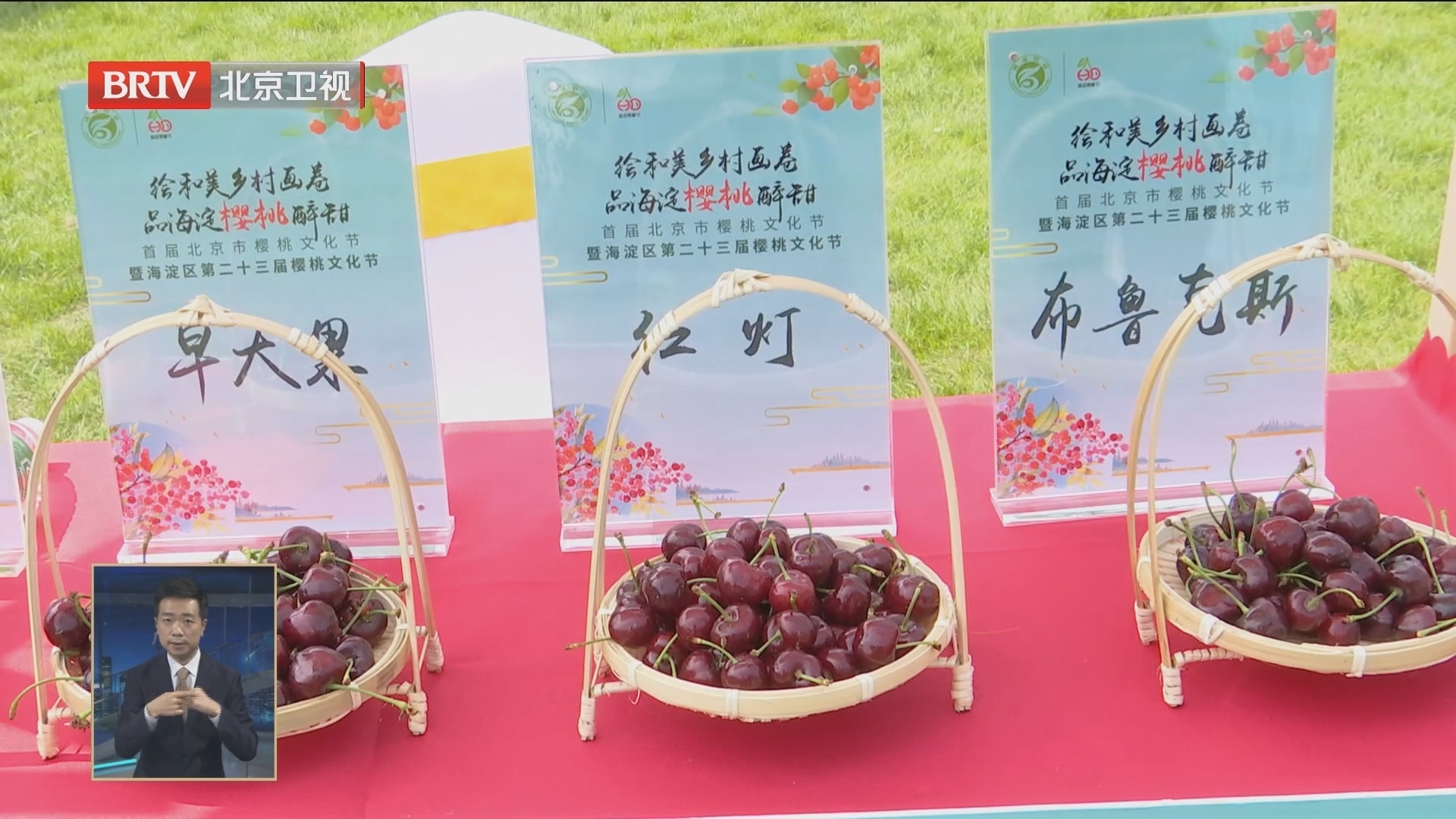 首届北京市樱桃文化节描绘和美乡村画卷