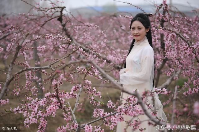 大乐透024期预测:看准胆码才能中大奖,就用这