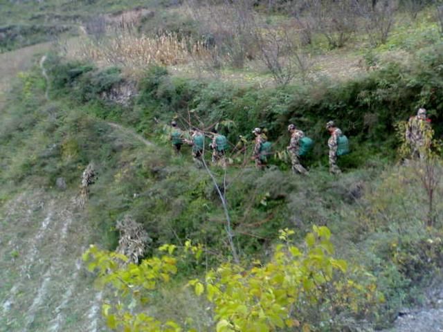 小灰,部队解散了,你该何去何从!武警森林黄金水