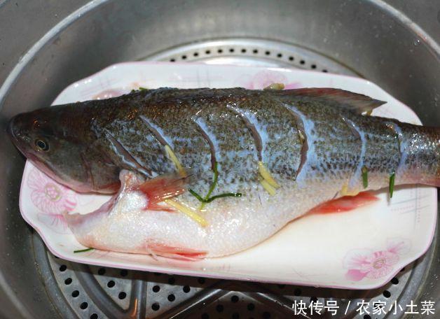 预先锅中煮好的水,用蒸笼隔板隔水,把装盘腌制好的鲈鱼一起发上去,盖