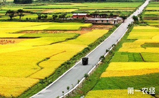 农村电商加快产业发展 互联网+助力乡村振兴