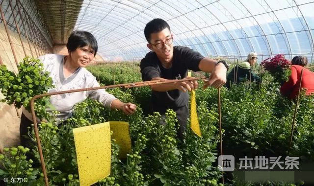 农村干部选举新规必看!2018禹州村干部选举已